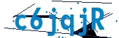 recaptcha