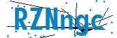 recaptcha