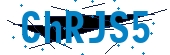 recaptcha