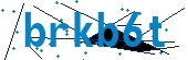recaptcha