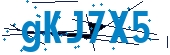 recaptcha