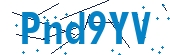 recaptcha